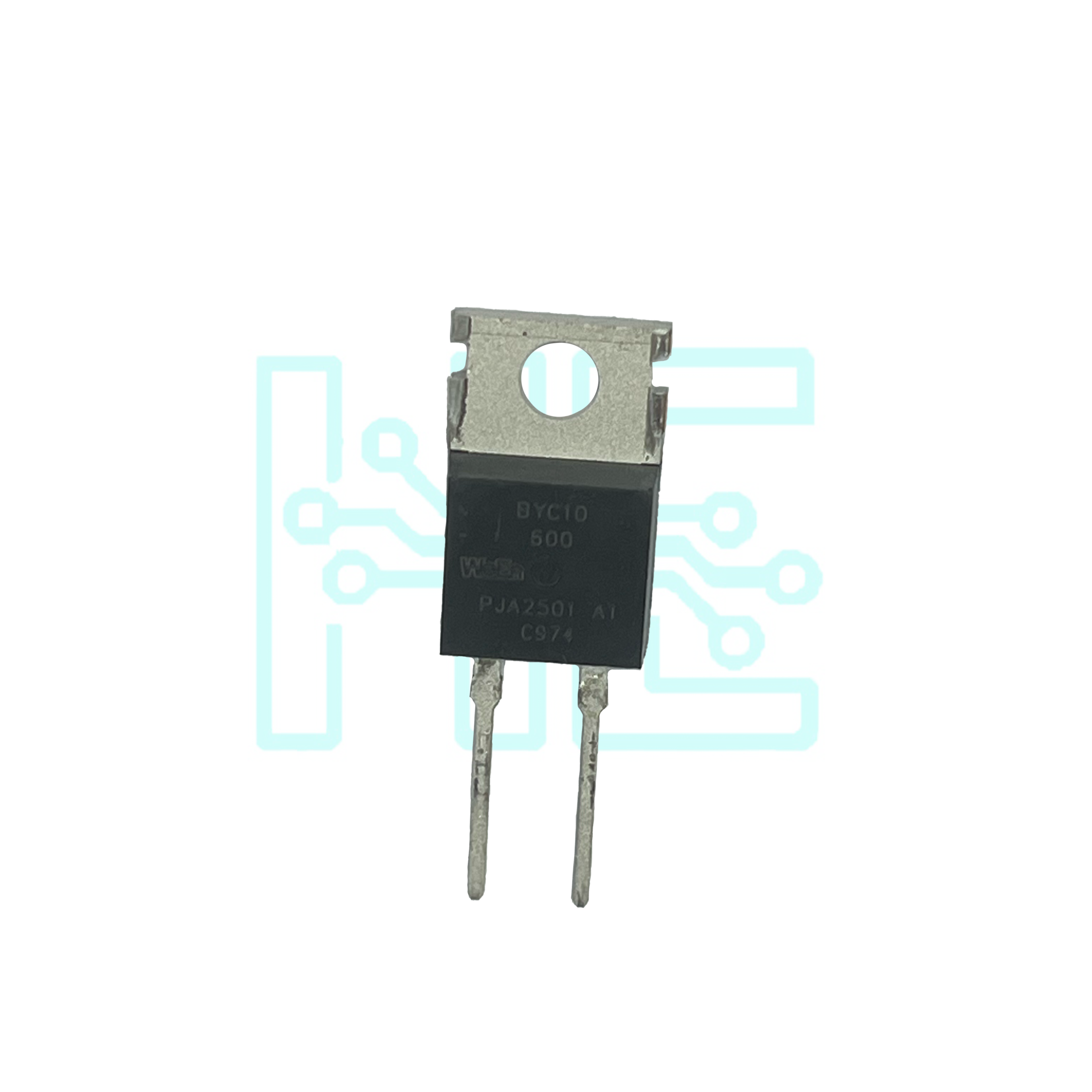 BYC10-600 1 BYC10-600